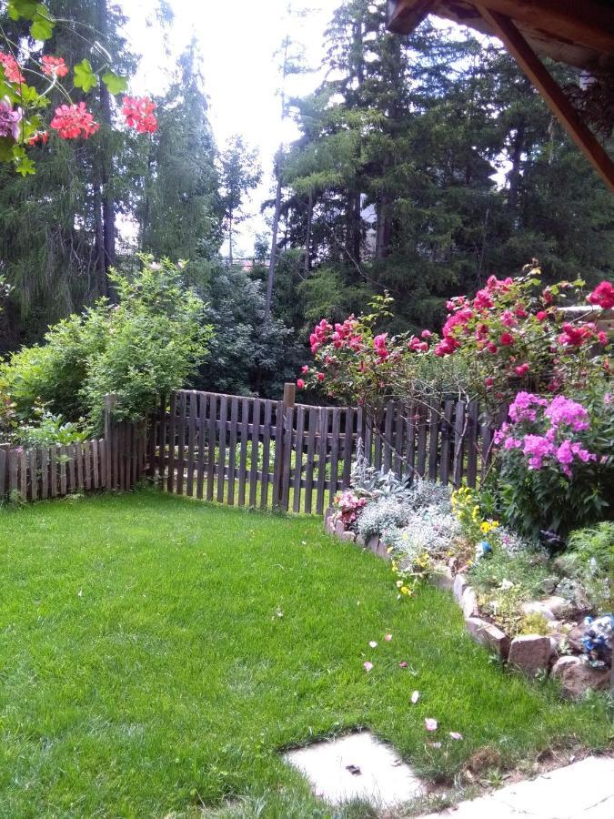 Achillea Bed & Breakfast Vigo di Fassa Exterior photo